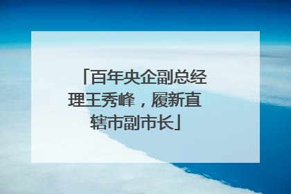 百年央企副总经理王秀峰，履新直辖市副市长