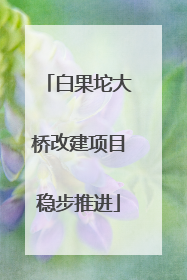 白果坨大桥改建项目稳步推进