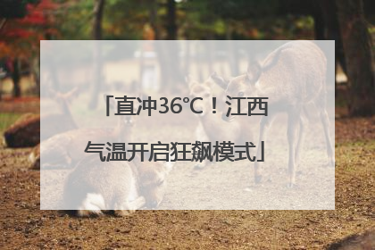 直冲36℃！江西气温开启狂飙模式