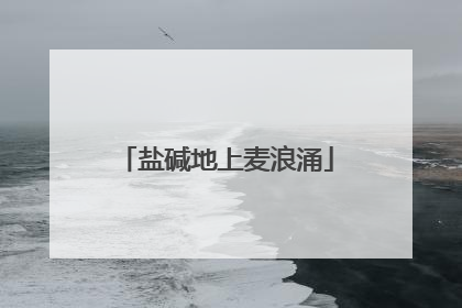 盐碱地上麦浪涌