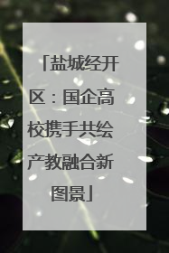 盐城经开区：国企高校携手共绘产教融合新图景