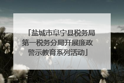 盐城市阜宁县税务局第一税务分局开展廉政警示教育系列活动