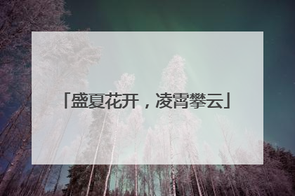盛夏花开，凌霄攀云