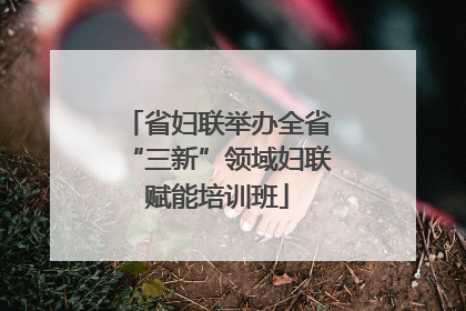 省妇联举办全省“三新”领域妇联赋能培训班