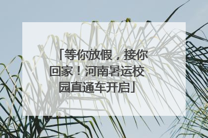 等你放假，接你回家！河南暑运校园直通车开启