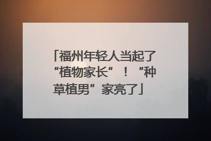 福州年轻人当起了“植物家长”！“种草植男”家亮了