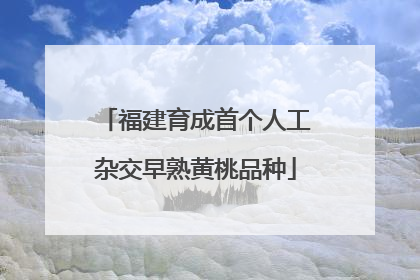 福建育成首个人工杂交早熟黄桃品种