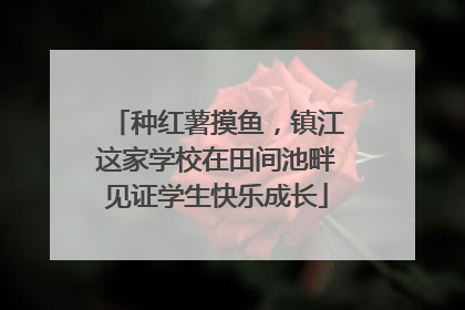 种红薯摸鱼，镇江这家学校在田间池畔见证学生快乐成长