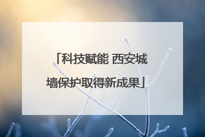 科技赋能 西安城墙保护取得新成果
