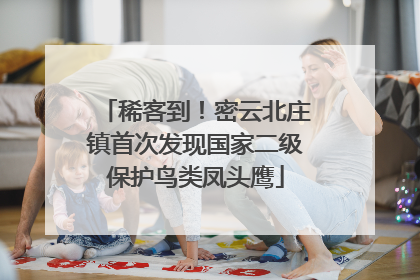 稀客到！密云北庄镇首次发现国家二级保护鸟类凤头鹰