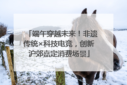 端午穿越未来！非遗传统×科技电竞，创新沪郊嘉定消费场景