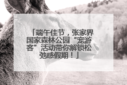 端午佳节，张家界国家森林公园“宠游客”活动带你解锁松弛感假期！