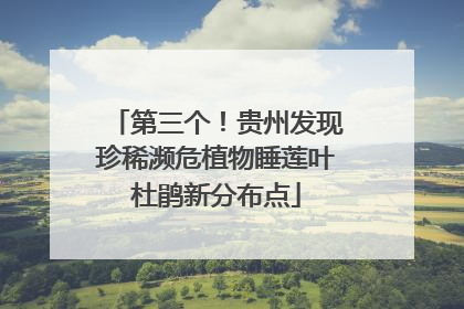 第三个！贵州发现珍稀濒危植物睡莲叶杜鹃新分布点