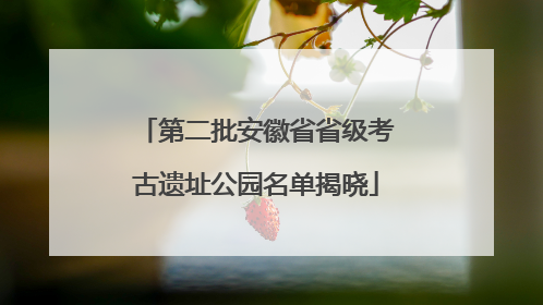 第二批安徽省省级考古遗址公园名单揭晓
