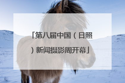 第八届中国（日照）新闻摄影周开幕