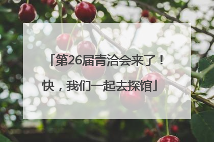 第26届青洽会来了！快，我们一起去探馆