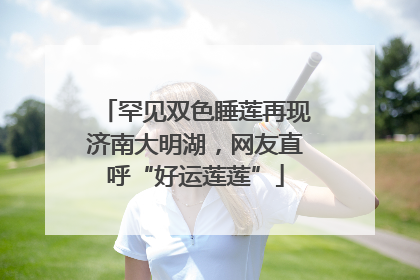 罕见双色睡莲再现济南大明湖，网友直呼“好运莲莲”
