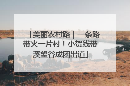 美丽农村路｜一条路带火一片村！小贺线带溪望谷成团出道