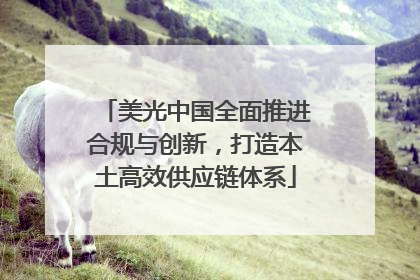 美光中国全面推进合规与创新，打造本土高效供应链体系