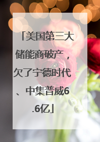 美国第三大储能商破产，欠了宁德时代、中集普威6.6亿