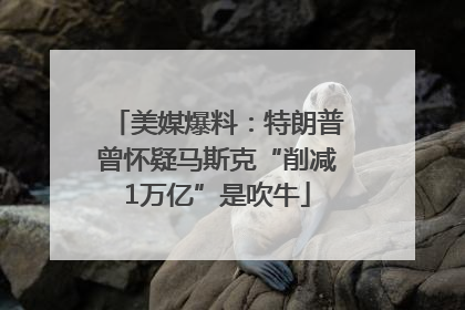 美媒爆料：特朗普曾怀疑马斯克“削减1万亿”是吹牛