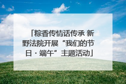 粽香传情话传承 新野法院开展“我们的节日・端午”主题活动
