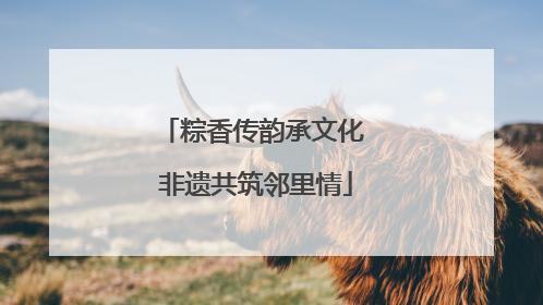 粽香传韵承文化 非遗共筑邻里情