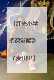 红光小学把课堂搬到了麦田里