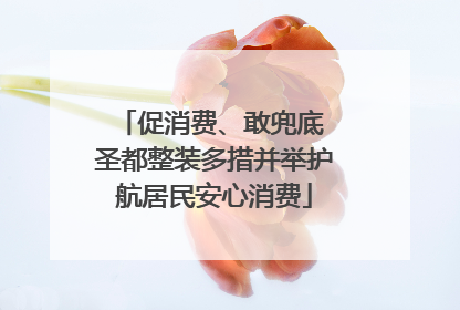 促消费、敢兜底 圣都整装多措并举护航居民安心消费