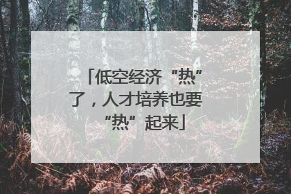 低空经济“热”了，人才培养也要“热”起来
