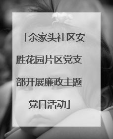 余家头社区安胜花园片区党支部开展廉政主题党日活动