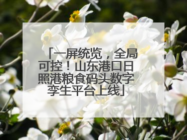 一屏统览，全局可控！山东港口日照港粮食码头数字孪生平台上线