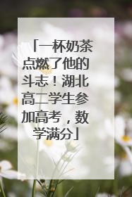 一杯奶茶点燃了他的斗志！湖北高二学生参加高考，数学满分