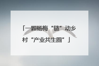 一颗杨梅“链”动乡村“产业共生圈”