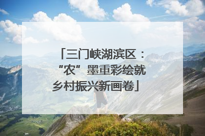 三门峡湖滨区：“农”墨重彩绘就乡村振兴新画卷