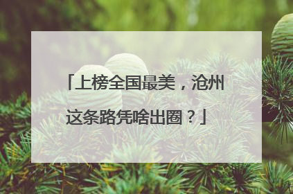 上榜全国最美，沧州这条路凭啥出圈？