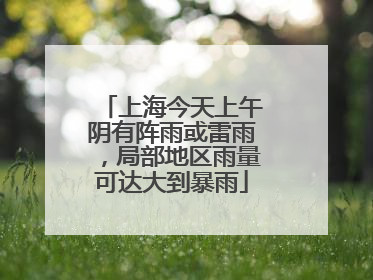 上海今天上午阴有阵雨或雷雨，局部地区雨量可达大到暴雨