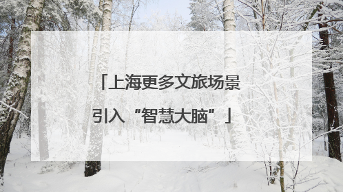 上海更多文旅场景引入“智慧大脑”