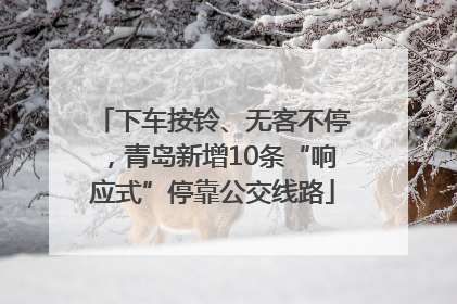 下车按铃、无客不停，青岛新增10条“响应式”停靠公交线路