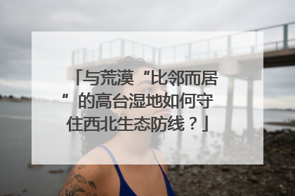 与荒漠“比邻而居”的高台湿地如何守住西北生态防线？