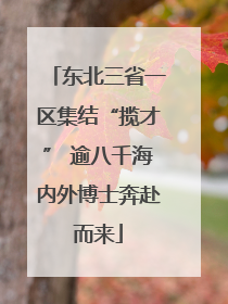 东北三省一区集结“揽才” 逾八千海内外博士奔赴而来