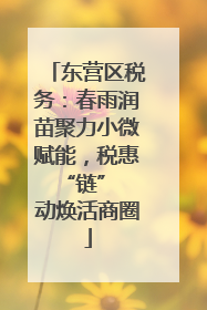 东营区税务：春雨润苗聚力小微赋能，税惠 “链” 动焕活商圈