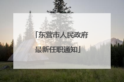 东营市人民政府最新任职通知