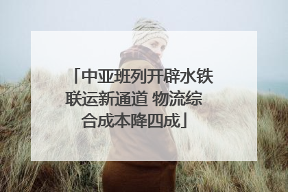 中亚班列开辟水铁联运新通道 物流综合成本降四成