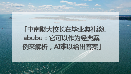中南财大校长在毕业典礼谈Labubu：它可以作为经典案例来解析，AI难以给出答案