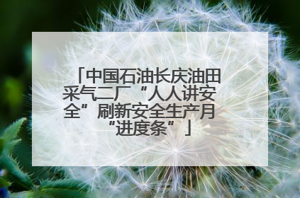 中国石油长庆油田采气二厂“人人讲安全”刷新安全生产月“进度条”