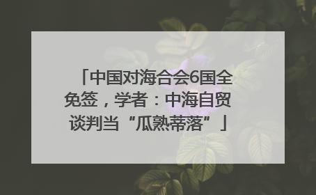 中国对海合会6国全免签，学者：中海自贸谈判当“瓜熟蒂落”
