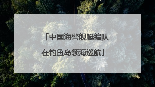 中国海警舰艇编队在钓鱼岛领海巡航