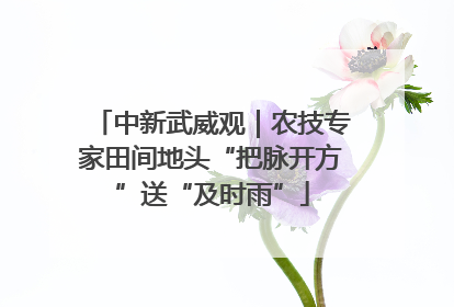 中新武威观｜农技专家田间地头“把脉开方”送“及时雨”