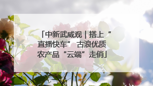 中新武威观｜搭上“直播快车” 古浪优质农产品“云端”走俏